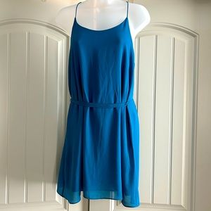 Naked zebra dress size medium